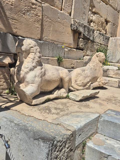       Weathered stone lion sculptures lying on ancient steps amid archaeological ruins and wildflowers.
  