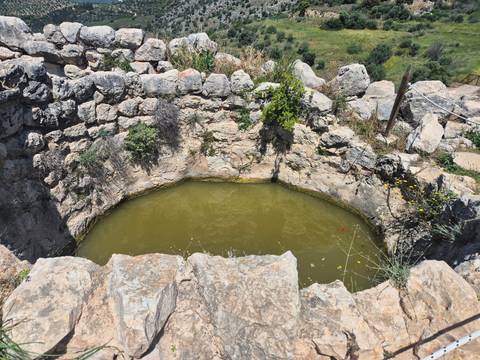       Circular stone basin filled with green water set within ancient Mycenaean ruins on a sunny hillside.
  