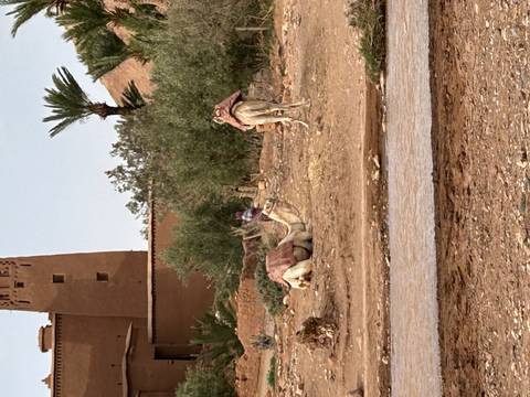       Photo d'avis client sur Les points forts du Maroc 
  