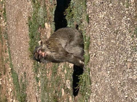       Photo d'avis client sur Les points forts du Maroc 
  