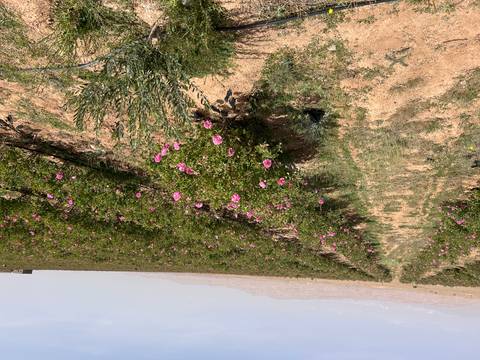       Photo d'avis client sur Les points forts du Maroc 
  