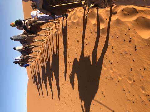       foto de reseña de cliente de Kasbahs y desierto de Marruecos 
  