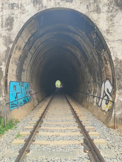       Railway tracks disappearing into a graffiti-covered tunnel entrance.
  