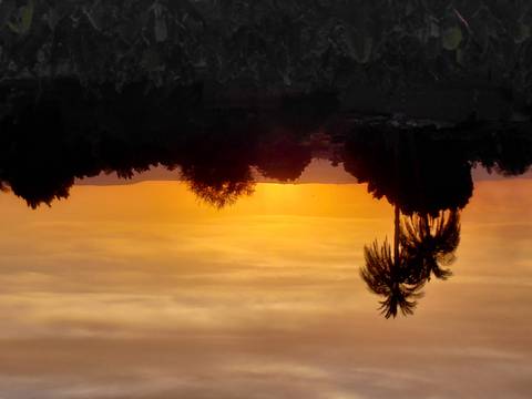       foto de reseña de cliente de Descubre Egipto - 10 días (El Cairo- crucero por el Nilo - Hurgada) 
  