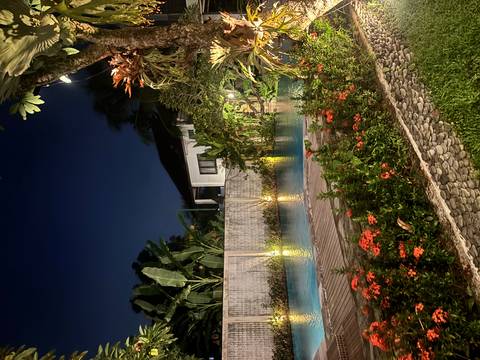       Night view of a private villa pool surrounded by tropical plants and soft garden lighting
  