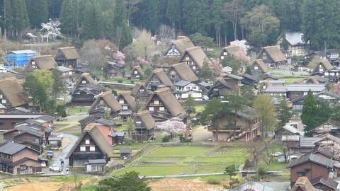       High-angle view of the thatched gassho-zukuri farmhouses of Shirakawa-go village surrounded by spring blossoms.
  
