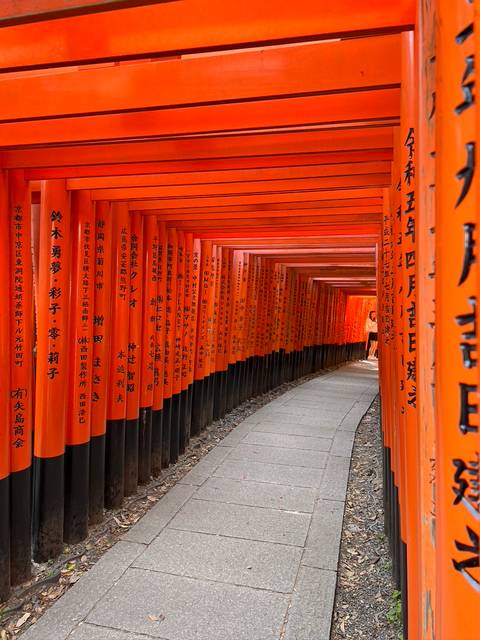       foto de reseña de cliente de Japón Eterno y Tradicional 
  