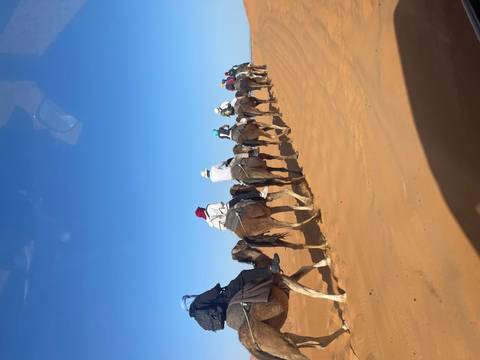       Long line of tourists riding camels over soft orange dunes of the Sahara under a clear sky.
  