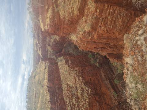       A sheer red canyon stretches far into the distance beneath a cloudy sky.
  