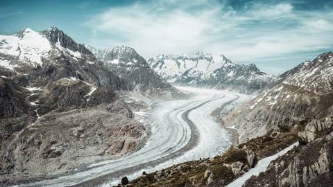       Panoramic view of the Aletsch Glacier snaking between snow-capped Alps.
  