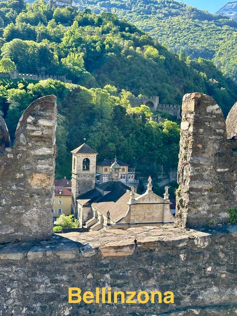       View through castle battlements to a hilltop town surrounded by forest.
  