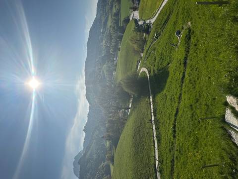       Rolling green pastures under a bright afternoon sun with mountains on the horizon.
  