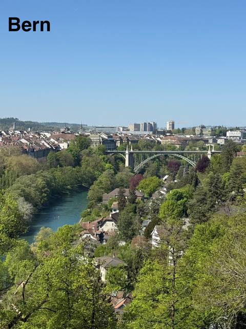       Panoramic view over Bern with the Aare river and a green valley framed by bridges.
  