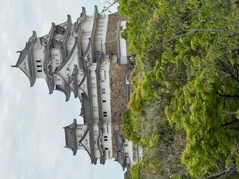       Majestic Himeji Castle’s layered white walls and curved roofs rise above green treetops.
  