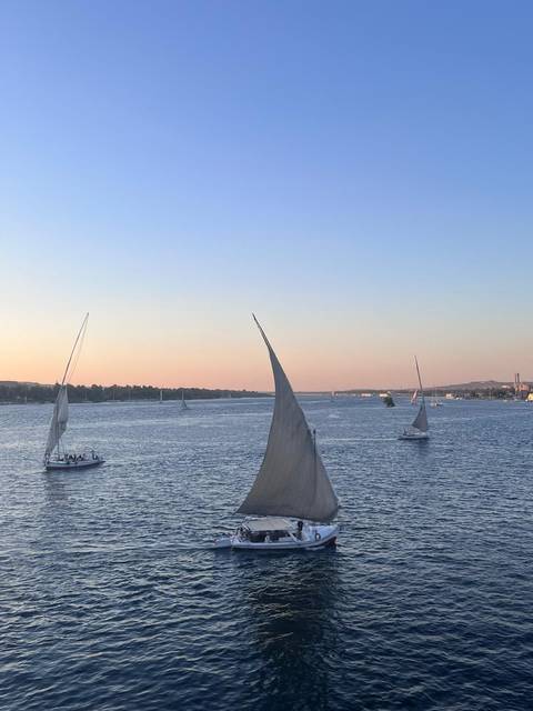       foto de reseña de cliente de Egipto Inmortal - Visita GEM - Alojamiento 5 estrellas 
  