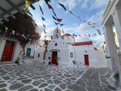       Photo d'avis client sur Athènes culturelle et visite de l'île de Mykonos - Santorin (autoguidée) 
  