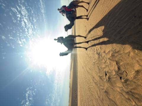       Silhouettes of two riders on camels in a desert with the bright sun creating dramatic flare.
  