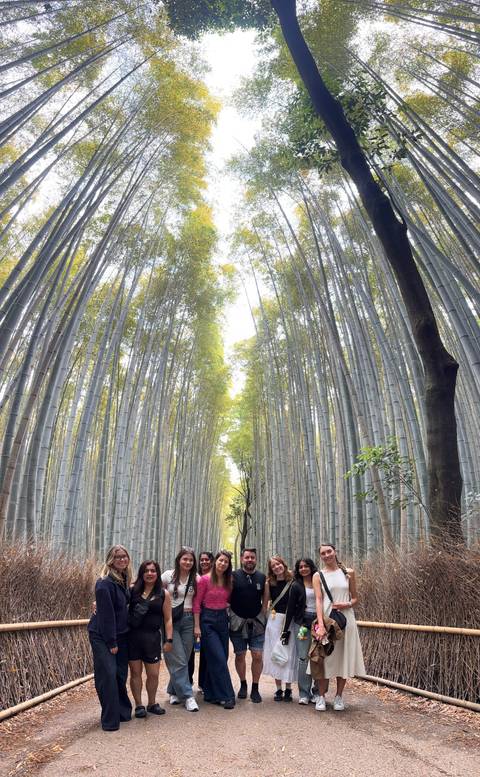       Towering bamboo stalks forming a natural green tunnel in Kyoto's Arashiyama grove.
  