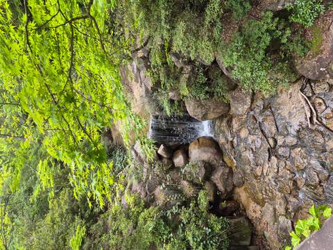       Small waterfall cascades over rocks in a lush green forest setting.
  