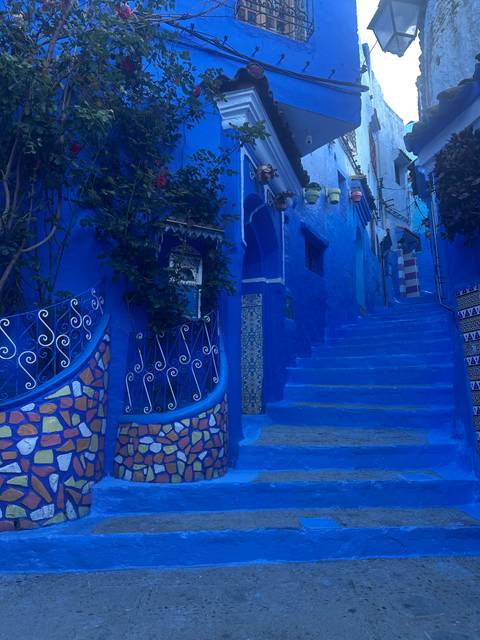       Vibrant blue-painted alleyway with decorative railings, stairs and potted plants in Chefchaouen.
  