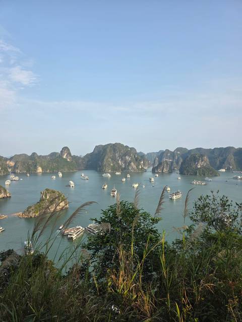       Panoramic view of Halong Bay's limestone karsts dotted with cruise boats under a hazy sky.
  