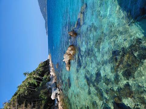       Crystal-clear turquoise sea with rocky shoreline and palm-covered headland under a bright sky.
  