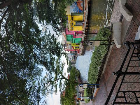       Colorful riverside houses reflected in the calm canal beneath leafy branches in Malacca.
  