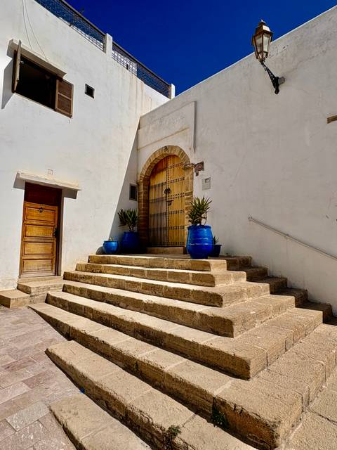       Stone steps leading to a wooden door framed by blue pots with plants against whitewashed walls
  