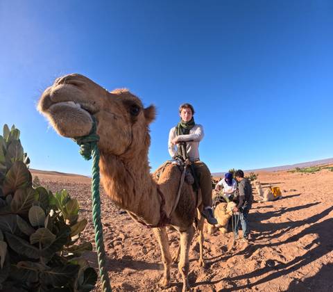       foto de reseña de cliente de DESDE MARRAKECH: EXCURSIÓN DE LUJO DE 3 DÍAS A ERG CHIGAGA 
  