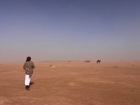       Traveler in traditional attire looks out across an empty, hazy desert plain with distant camels.
  