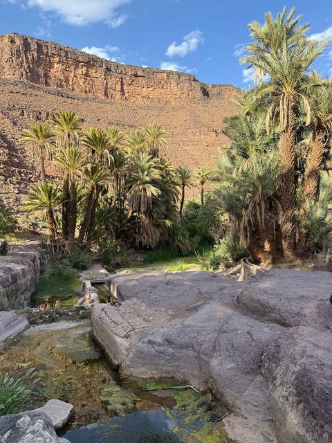       A lush palm oasis tucked into rocky desert surroundings with natural stone terraces and flowing water.
  