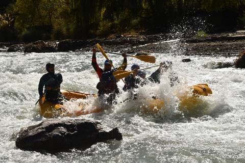       White-water raft crashes through rapids with paddlers raising oars amid splashing water
  