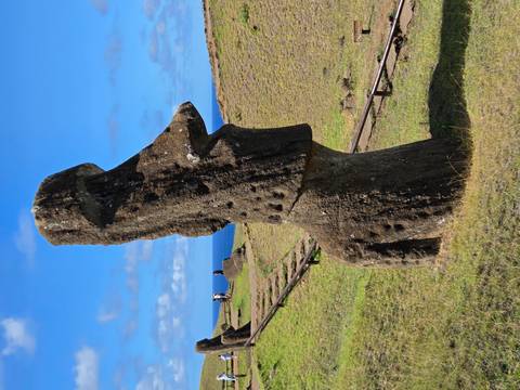       Profile view of weathered Moai statue on grassy hillside overlooking the sea
  
