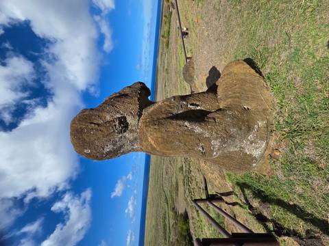       Isolated torso Moai statue stands against vivid blue sky on open plain
  