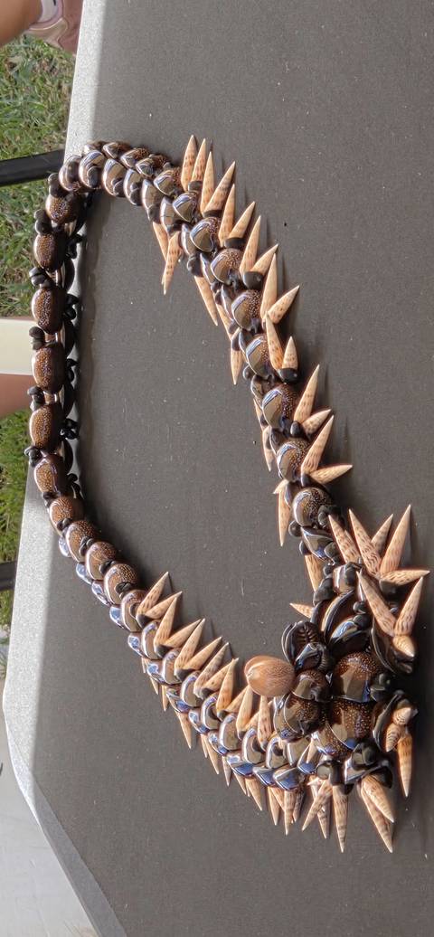       Close-up of a traditional Polynesian necklace made of polished shells and pointed wooden beads displayed on a dark surface
  