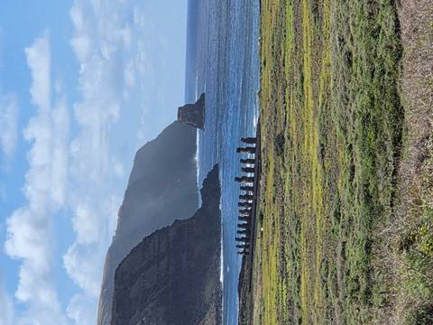       Coastal landscape with a line of Moai statues facing the ocean, rugged cliffs and blue sea in the background
  