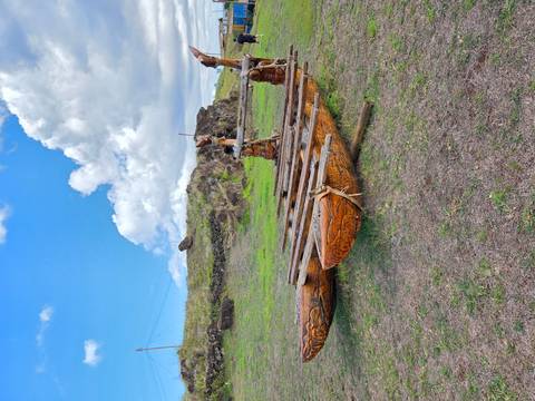       Traditional wooden double-hulled canoe frame carved and resting on grassy ground with cloudy sky above
  