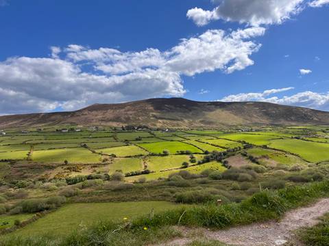      Patchwork of bright green fields and hedgerows at the foot of a low Irish mountain under scattered clouds
  