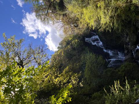       Tall forest waterfall cascading through lush greenery under a partly cloudy sky
  