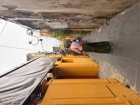       Back-view of a traveller walking through a narrow yellow alley of old-town buildings lined with wires and plants.
  