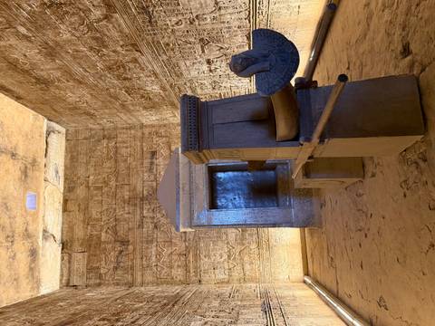       Dimly lit sanctuary room with ornate stone barque shrine and carved walls inside Edfu Temple.
  