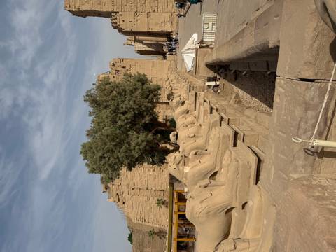       Row of ram-headed sphinx statues lines an avenue leading to the massive walls of Karnak Temple under blue sky.
  