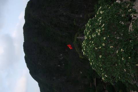       Red flag atop hill rises beyond flowering bush with dark karst cliffs behind.
  