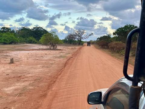      Dusty red safari track with distant jeeps cutting through dry scrubland.
  