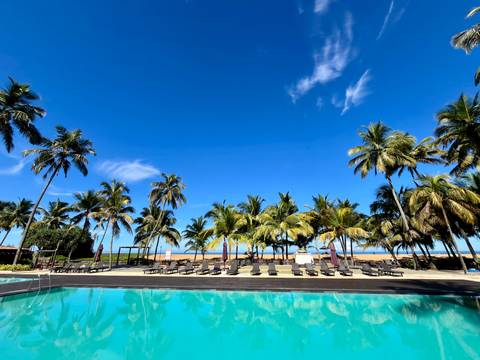       Resort pool framed by palm trees with beach and blue sky beyond.
  