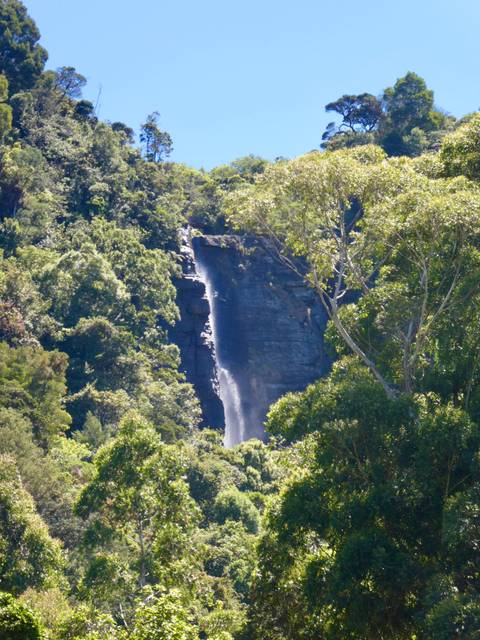       Distant vertical waterfall cutting through dense green forest.
  