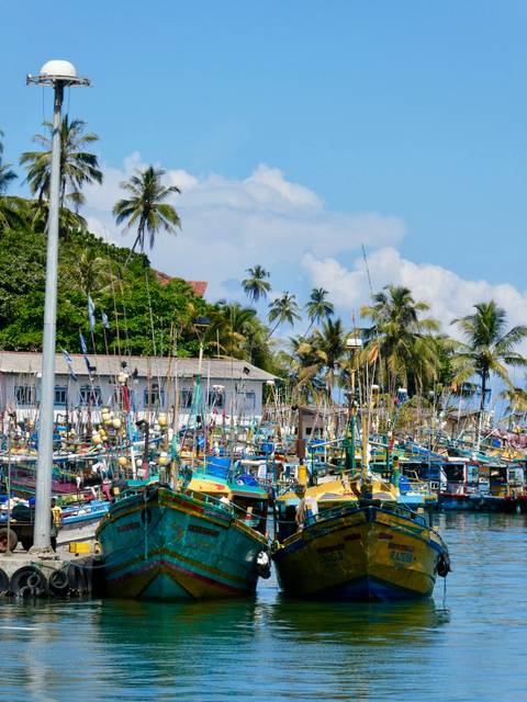       Busy tropical fishing harbour packed with brightly coloured boats and masts.
  