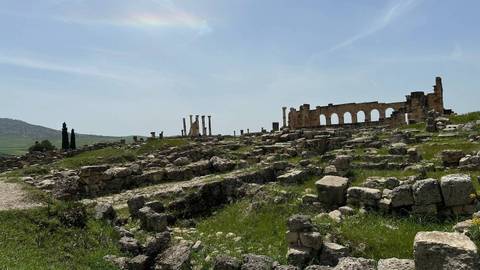       Wide view of ancient stone ruins scattered across a green grassy hillside under a bright blue sky.
  