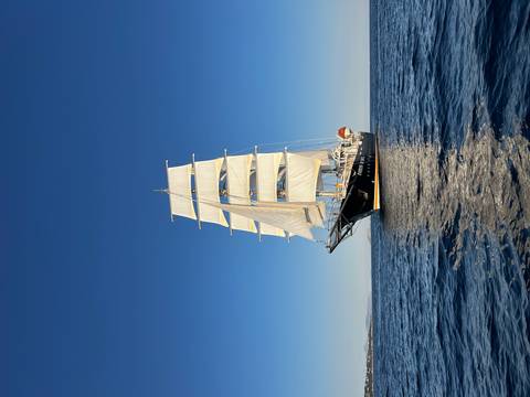      Elegant tall-masted sailing ship lit by morning light on calm deep blue sea
  
