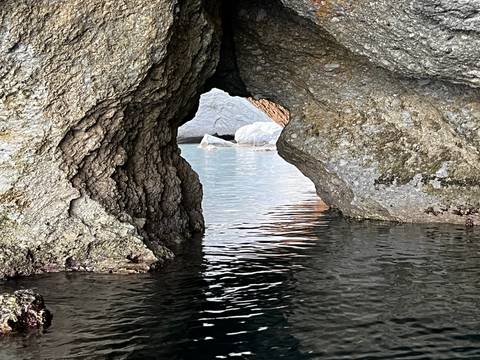       Close interior view of a small sea cave opening onto tranquil water
  